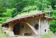 7 Natural Design Principles for a More Living Home