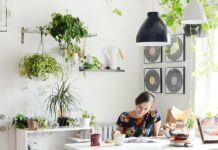 8 plants to decorate the kitchen that will give productivity