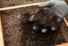 4 items at home that you can compost and maybe you did not know