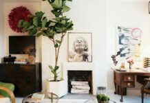 7 fruit trees that you can grow in your living room